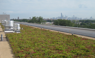 Green Roof